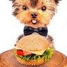 Profilbild von comedor de hamburger