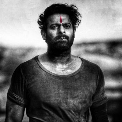 VasishtaSalaar's profile picture