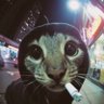 Bobbie.Big.Boots's profile picture