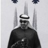بو حمد 🇦🇪 profil fotoğrafı