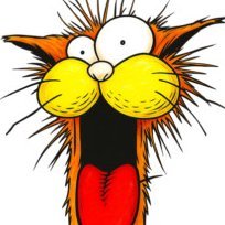 BillSchulz's profile picture
