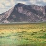 Уулс 的头像