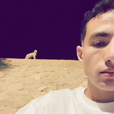 Harry77z's profile picture