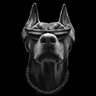 Фото профиля AlfaDog