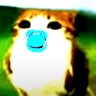 theo's profile picture