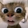 Tuanpupupapa's profile picture