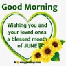 Ella Mirian profil fotoğrafı