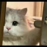 zzZzZZzz profil fotoğrafı