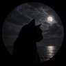 lowkey_legend's profile picture