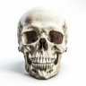 ⚓️🇦🇺SKULLDOM🇦🇺⚓️'s profile picture