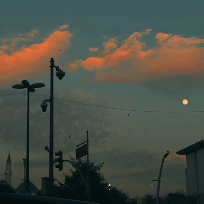 H A L I L | خـليل's profile picture