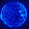 Blue Star's profile picture