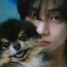spread_love⁷ ✨♥️'s profile picture