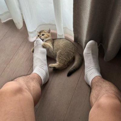 ig53964's profile picture