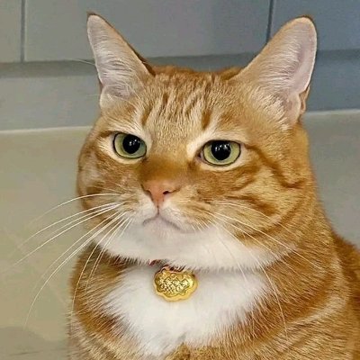 gembrit's profile picture