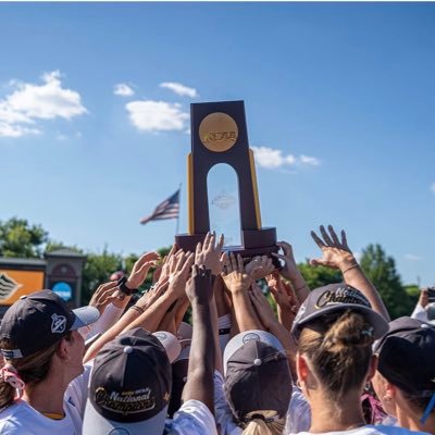 DIISoftball's profile picture