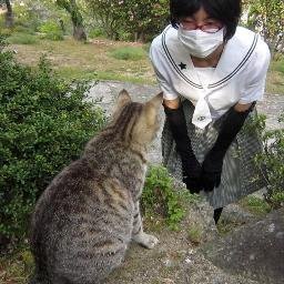 糸目今日子's profile picture