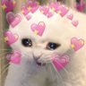 Hayal's profile picture