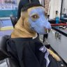 Ozzyx's profile picture