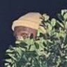 Martants's profile picture