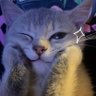 randomlyhere profil fotoğrafı