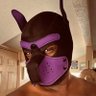 Фото профиля Anubis
