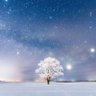 Фото профиля Starrynight21