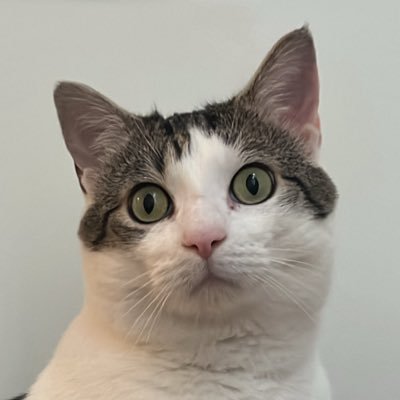 chance1084059's profile picture