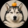 ちょこたろう's profile picture