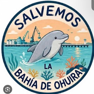 marimoo2610's profile picture