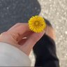 Amanda's profile picture