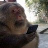 o ó do borogodo profil fotoğrafı