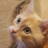 wija's profile picture