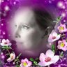 Sachsenmädel's profile picture