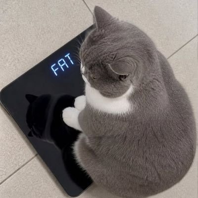 Lia.'s profile picture