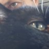 The🥸Upsetter's profile picture