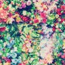 Фото профиля ⚜️ will CRASH 💥 | adp | alldayproject