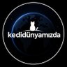 Фото профиля KediDunyamız