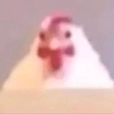 RandomContent34's profile picture