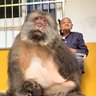 Dudito's profile picture