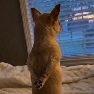 guerra.g's profile picture