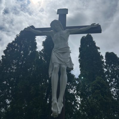 cybertrash's profile picture
