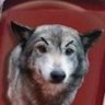 Profilbild von Boy_Wonder