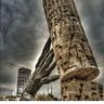 طارق العقيلي's profile picture