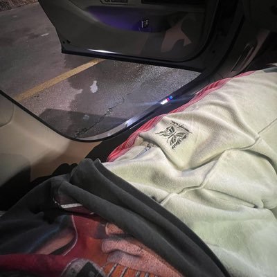 Shizeh's profile picture
