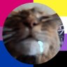 Rin profil fotoğrafı