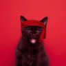 Фото профиля Kitty In Boots