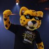 Onça Real 🐆's profile picture