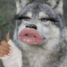 GURL 💋's profile picture