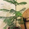 Фото профиля عبدالرحمن العصفور